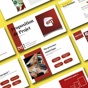 Vu d'enssemble de l'audit commercial catalogue et roll up